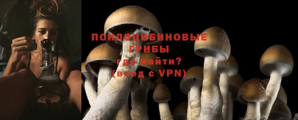 мдпв Верхний Тагил