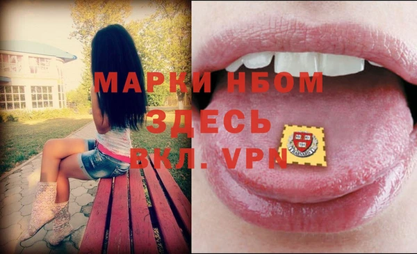 мдпв Верхний Тагил